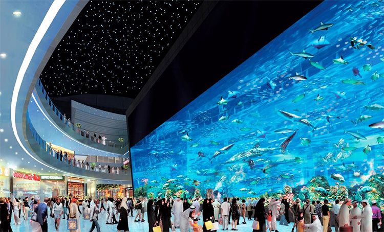 Dubai का सबसे अच्छा 5 पर्यटक आकर्षण वाला जगह // Dubai’s Best 5 tourist attraction place.